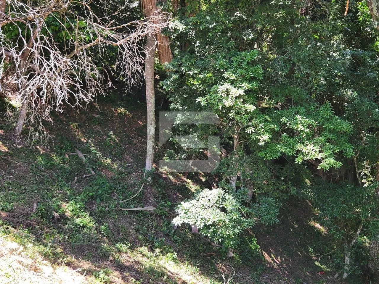 Terreno, 2.365m² - Córrego Grande - Florianópolis/SC - Foto 4