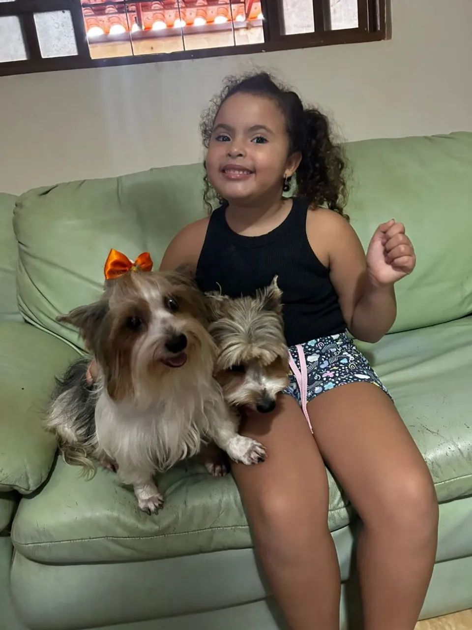 Vendo 1 machinho da raça Biewer terrier.  - Foto 4