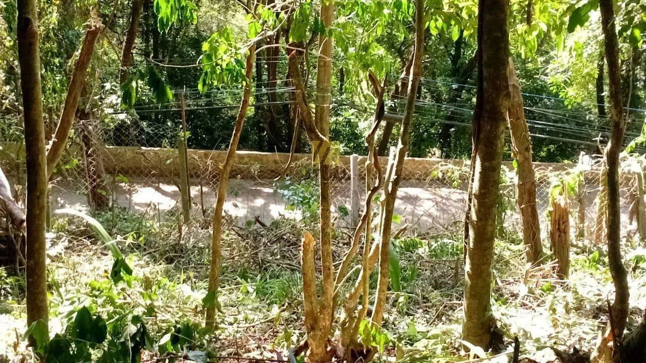 Terreno 810 metros em codominio à venda em Cotia