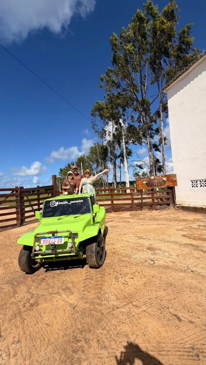 Buggy Buggy 1.6 2-lug. 1995