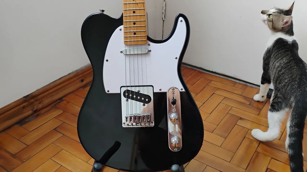 Guitarra Telecaster Tagima TW-55