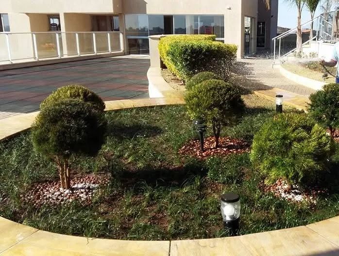 SERVIÇO JARDINAGEM ROÇADEIRA / BH  - Foto 3