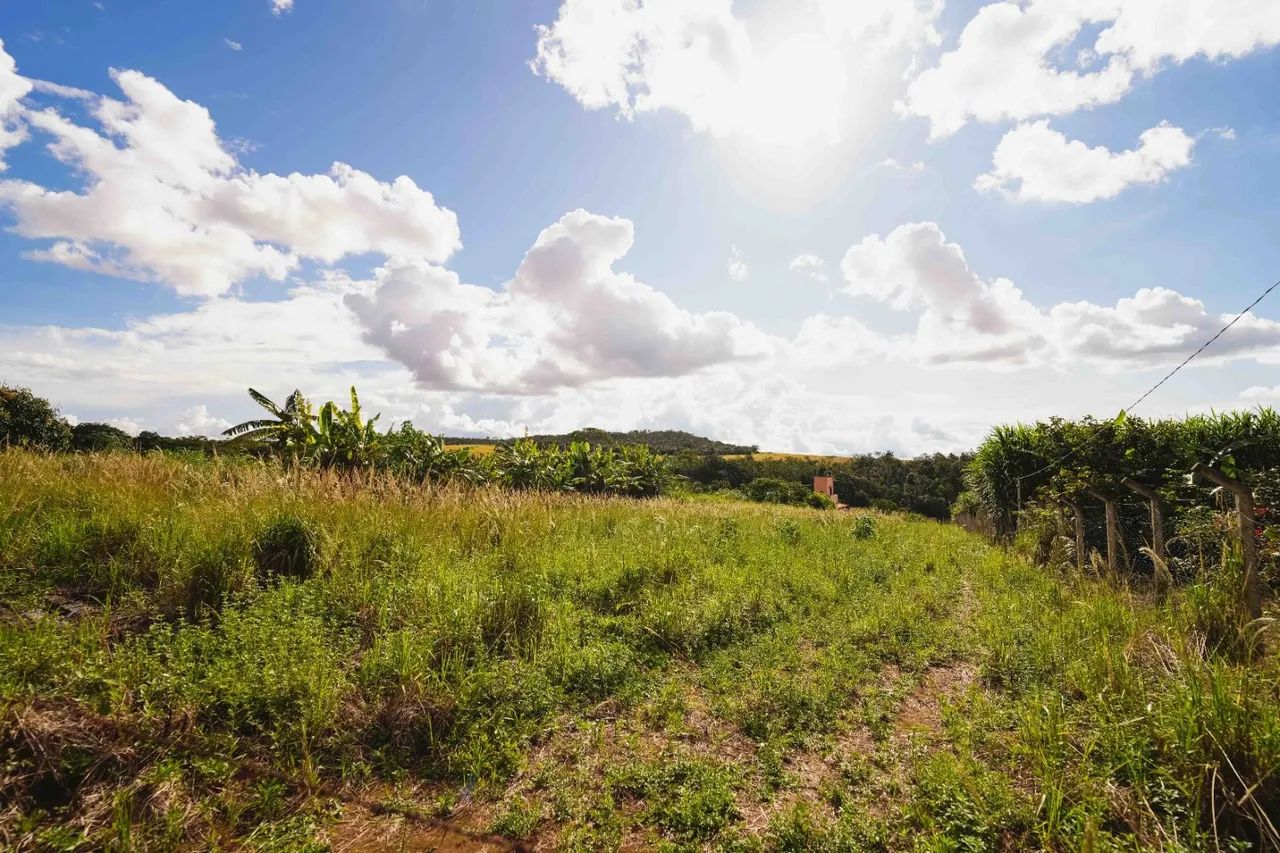 Chácara 4000m2 em Anápolis  - Foto 2