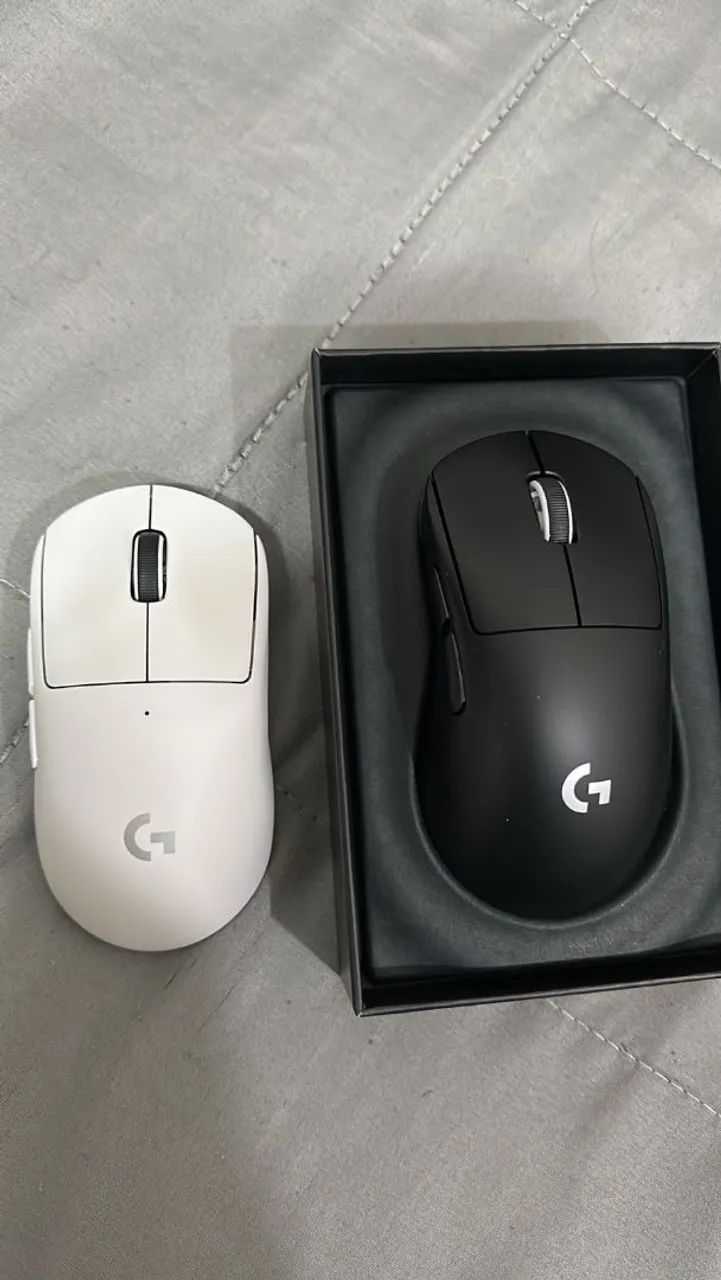 Mouse 