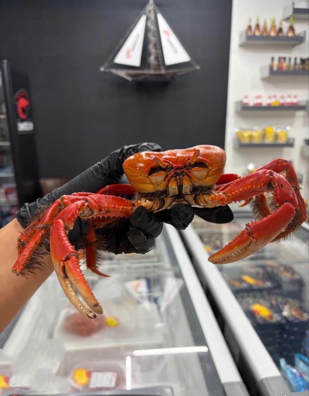 Caranguejo Pré cozido 