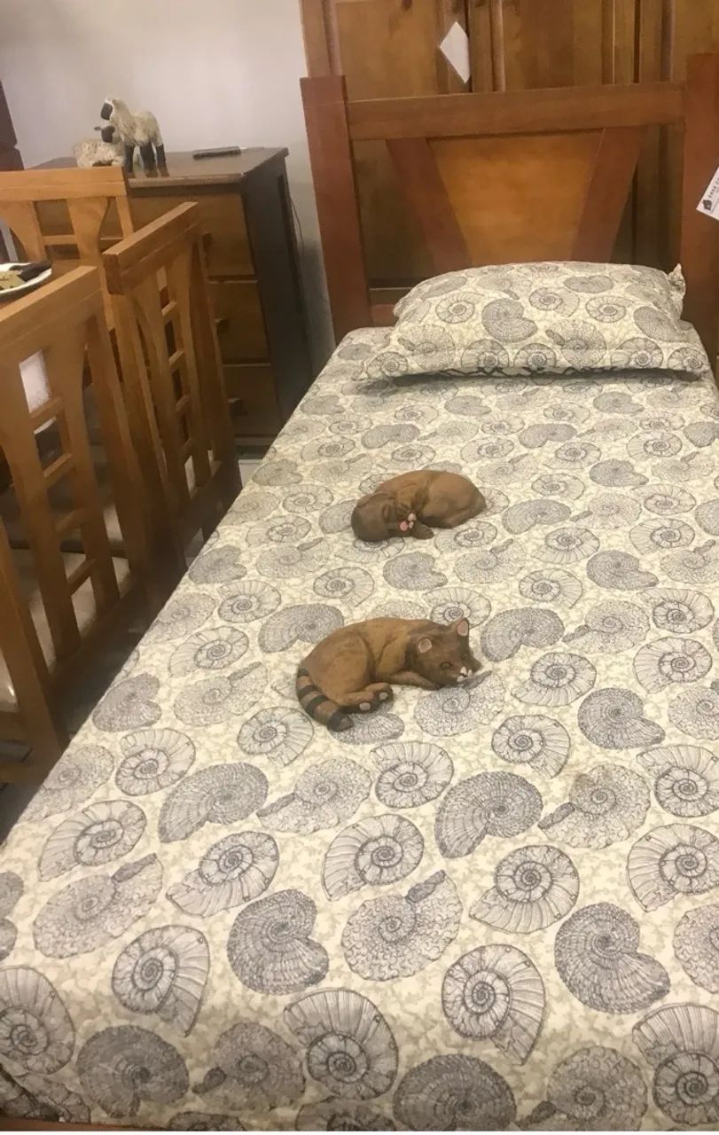 Vendo cama solteiro 