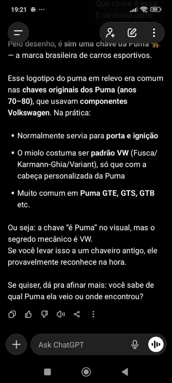 Chave Virgem de Puma  - Foto 3