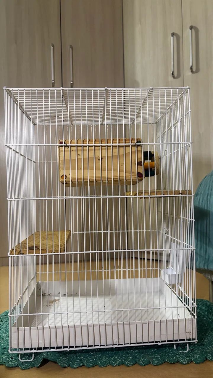 Gaiola para roedores  - Foto 4