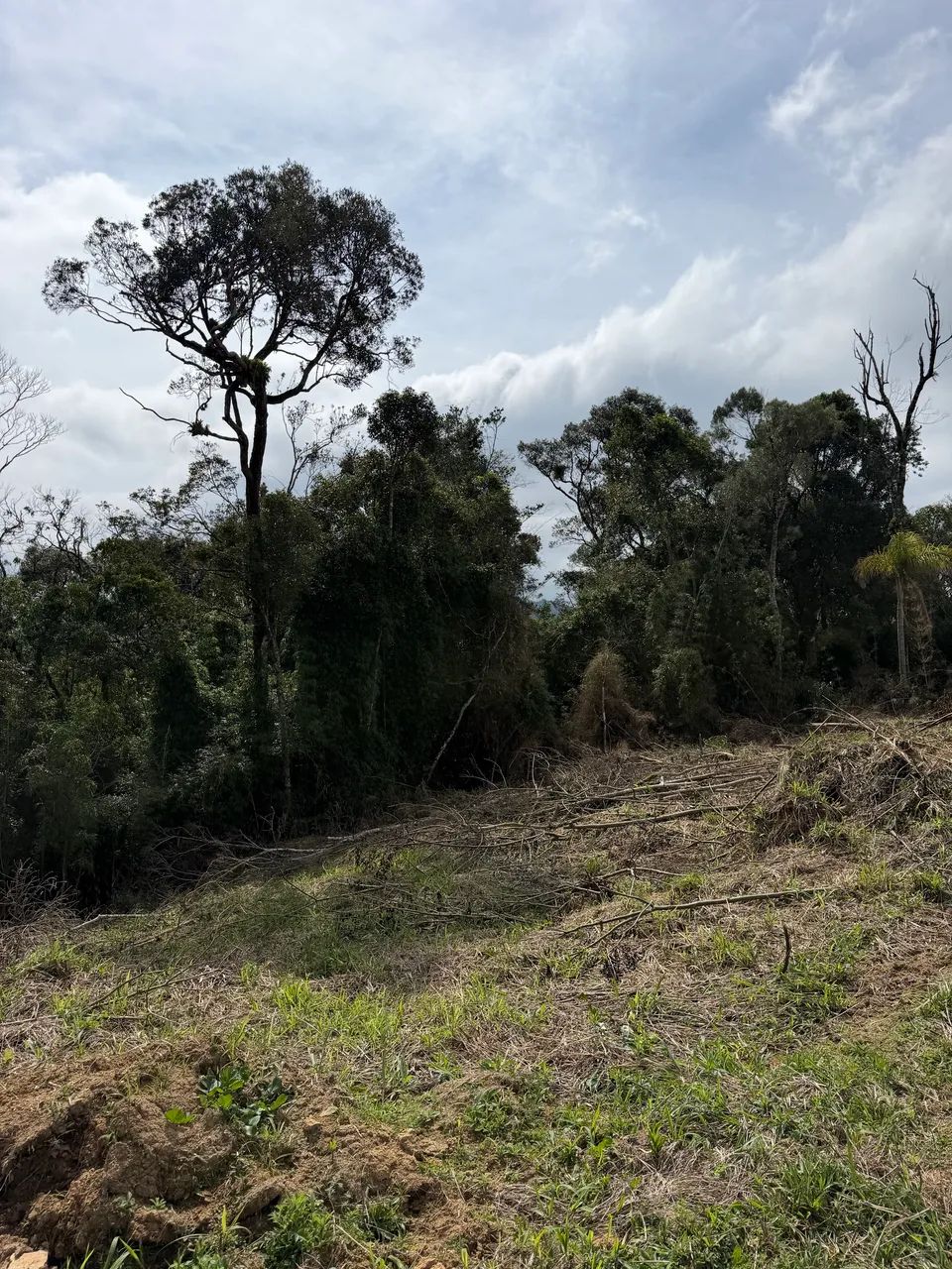 ANITÁPOLIS/SC - Terreno para sítio 2 hectares 