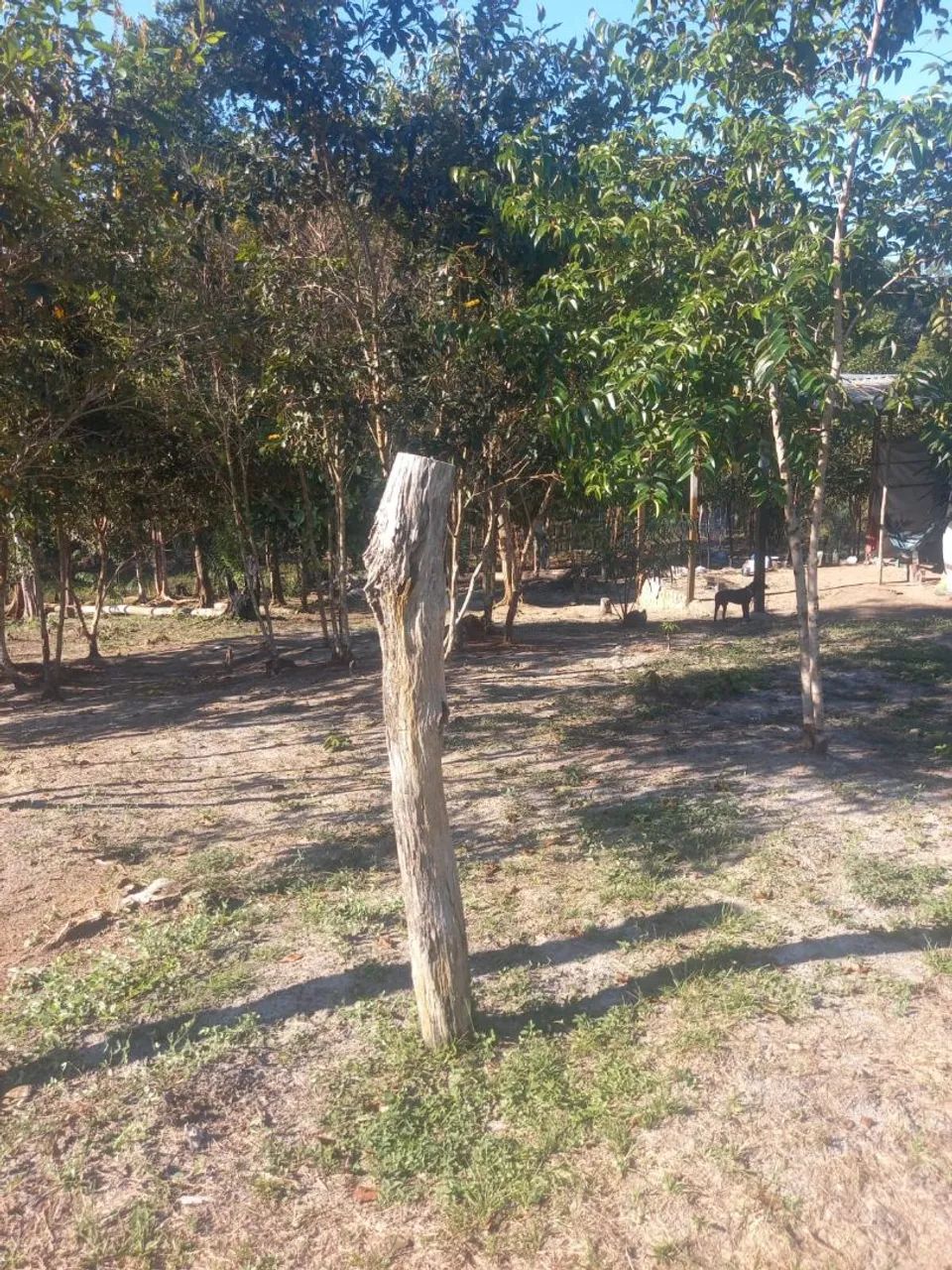 Sítio na estrada do brasilherinho km10
