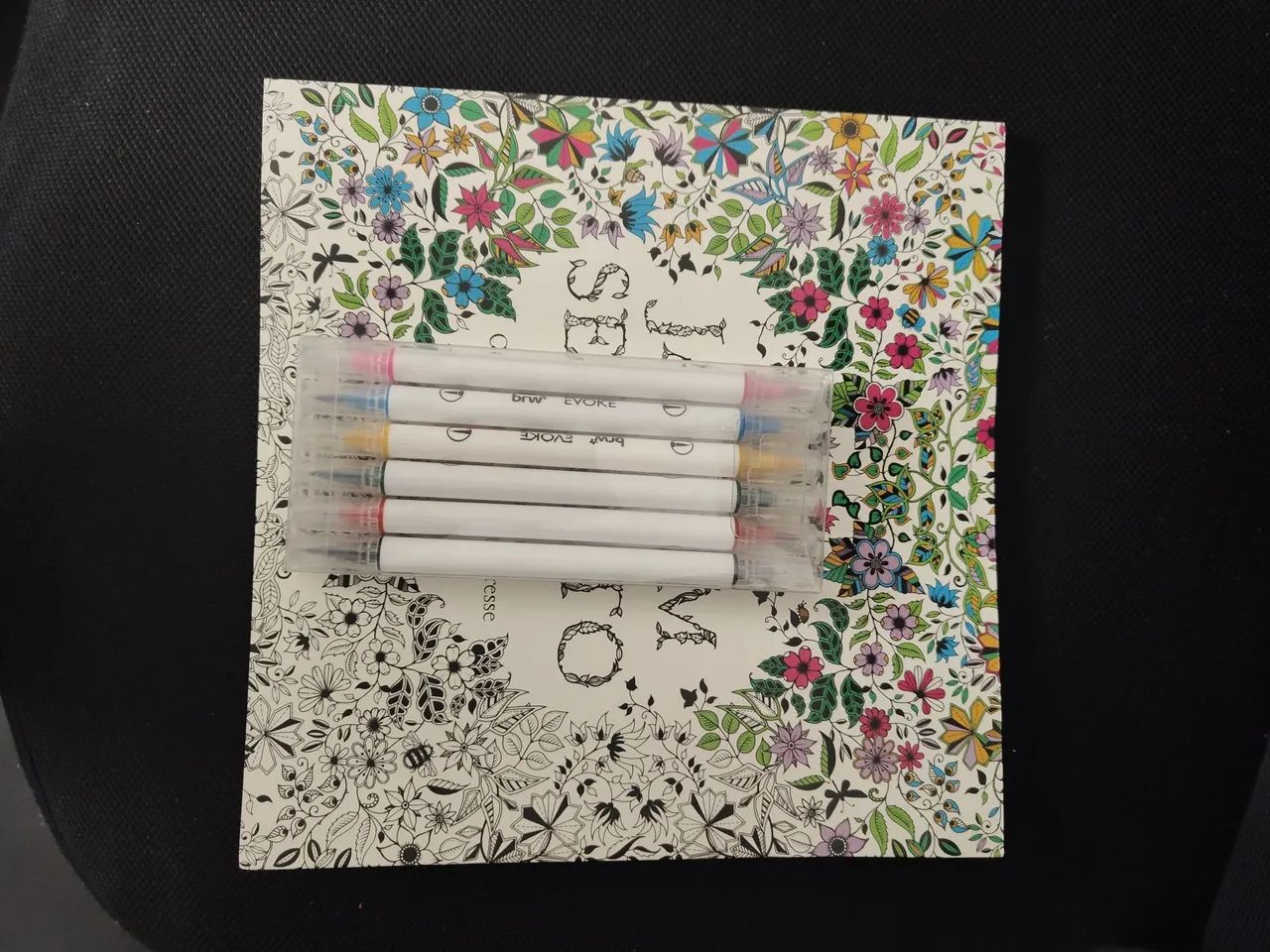 Livro para colorir com canetinhas 