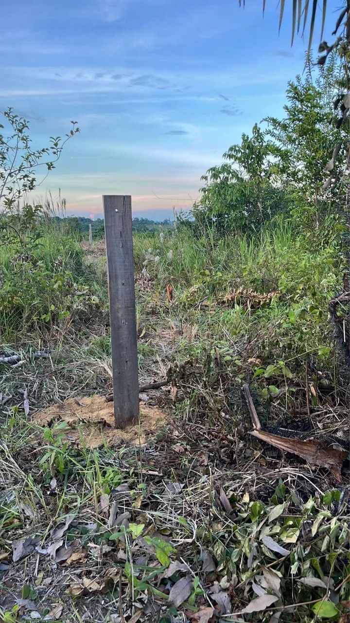 Vendo chácara a 6 km da cidade toda cercada  - Foto 2