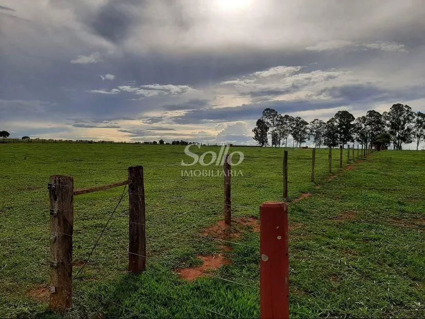 Venda Fazenda DOURADINHO - Foto 4