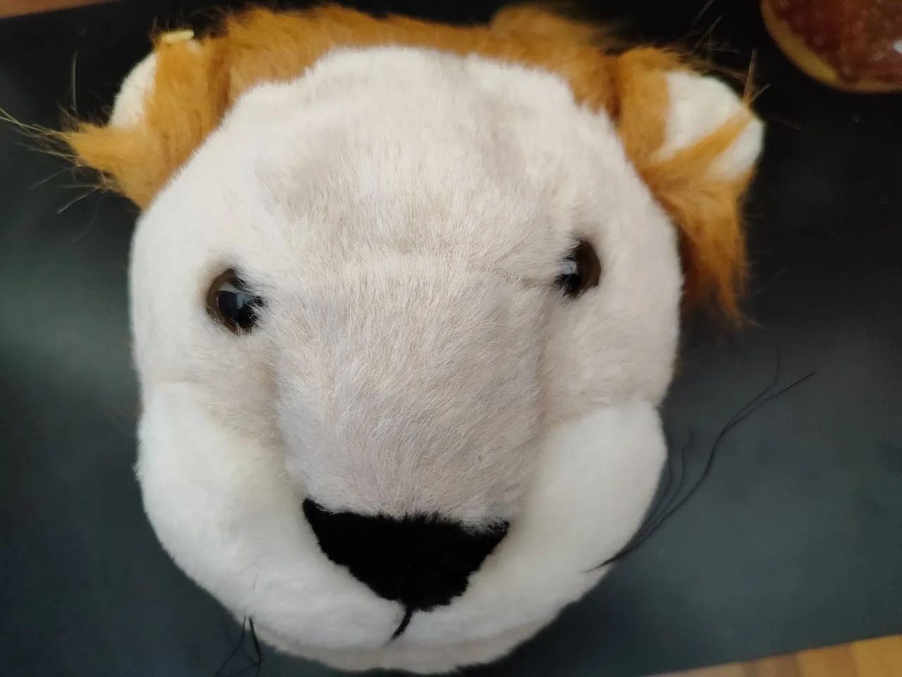 Pantufa leão.
