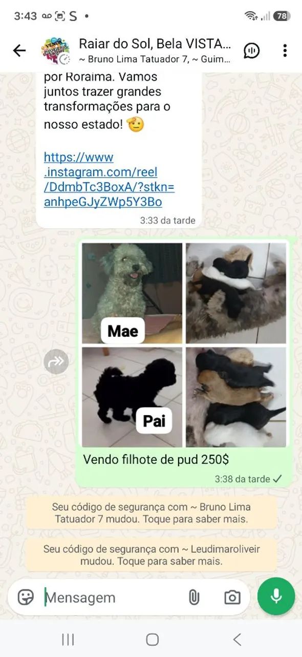 Vendo  - Foto 3