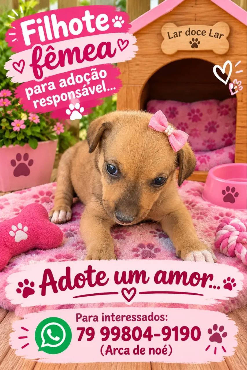 Adoção ? - Foto 2