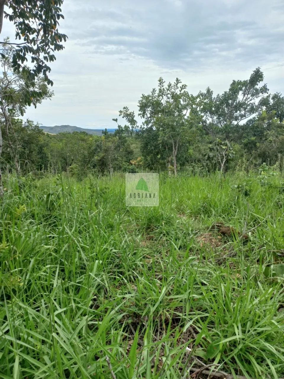 Excelente Ch&aacute;cara de Lazer com &Aacute;rea de 3 Hectares - Foto 4