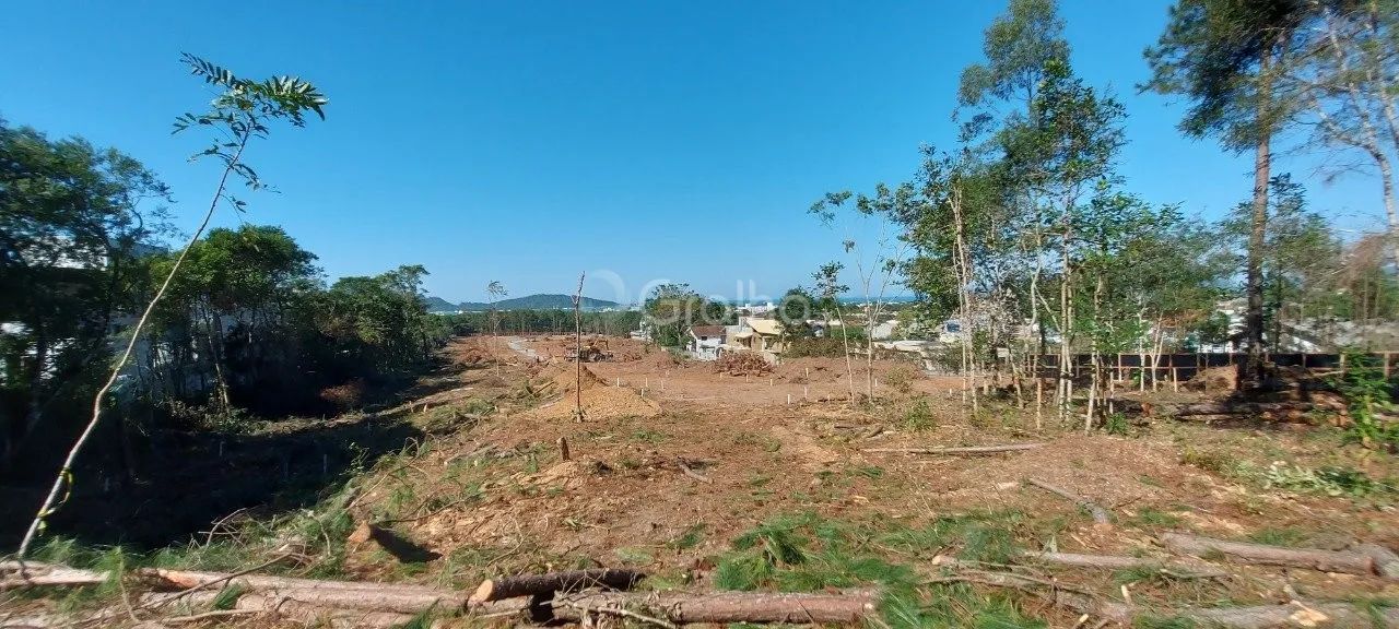 Terreno para Venda em Florianópolis, Campeche