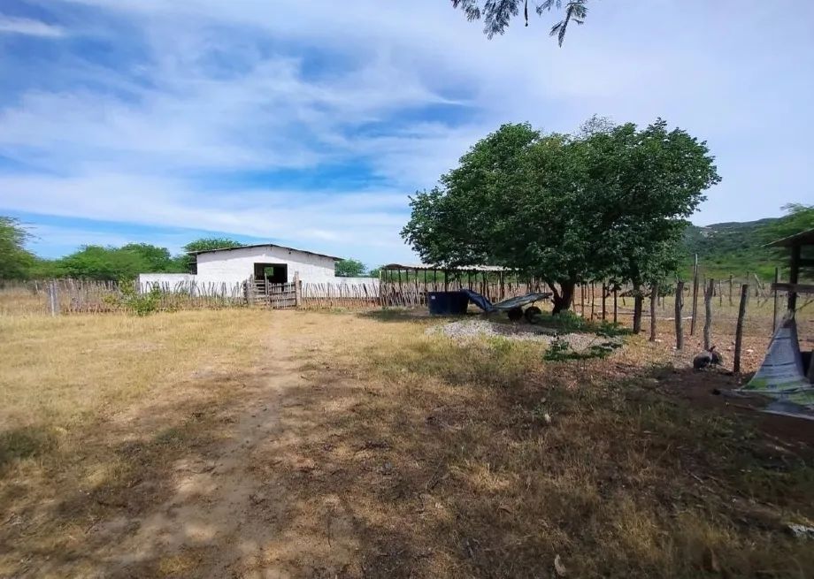 Imóvel Rural, 76ha, Sertânia/PE