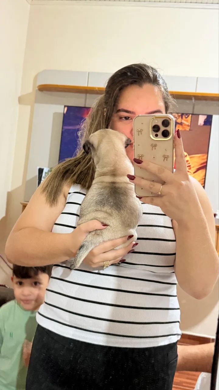 Pug disponível  - Foto 4