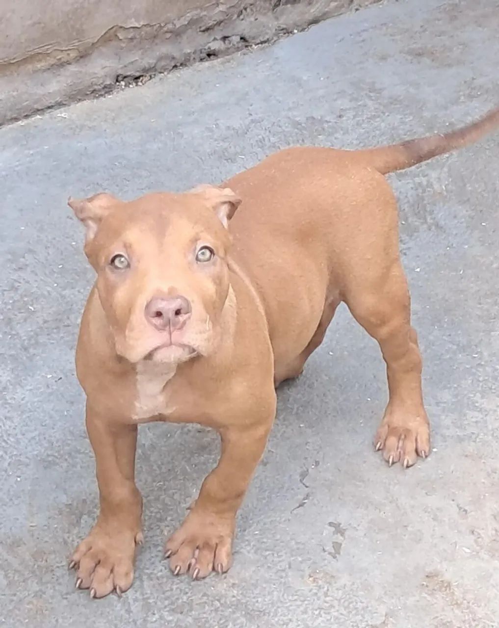 Vende-se  - Foto 3