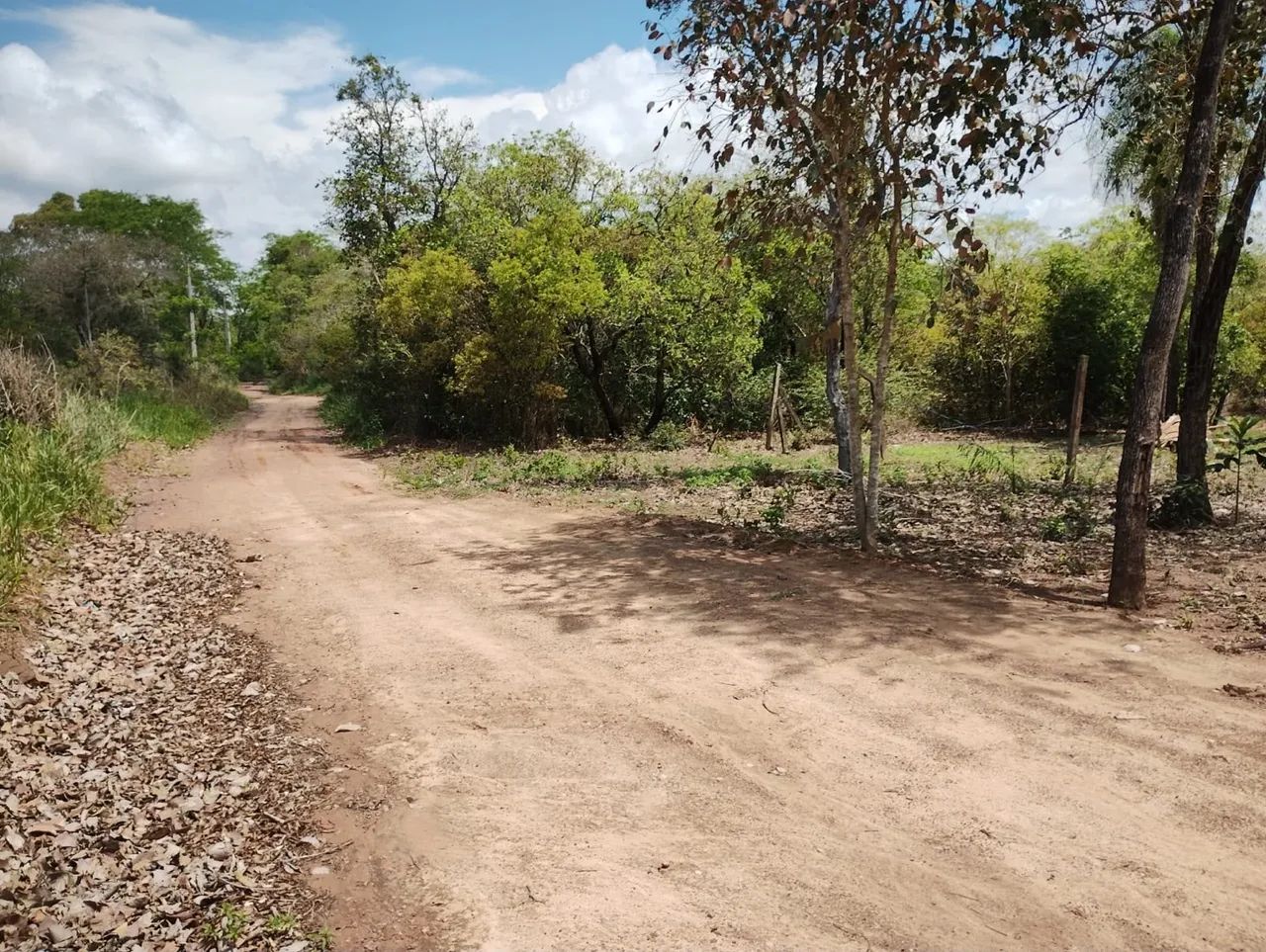 Rancho no KM21 águas de Miranda  - Foto 2