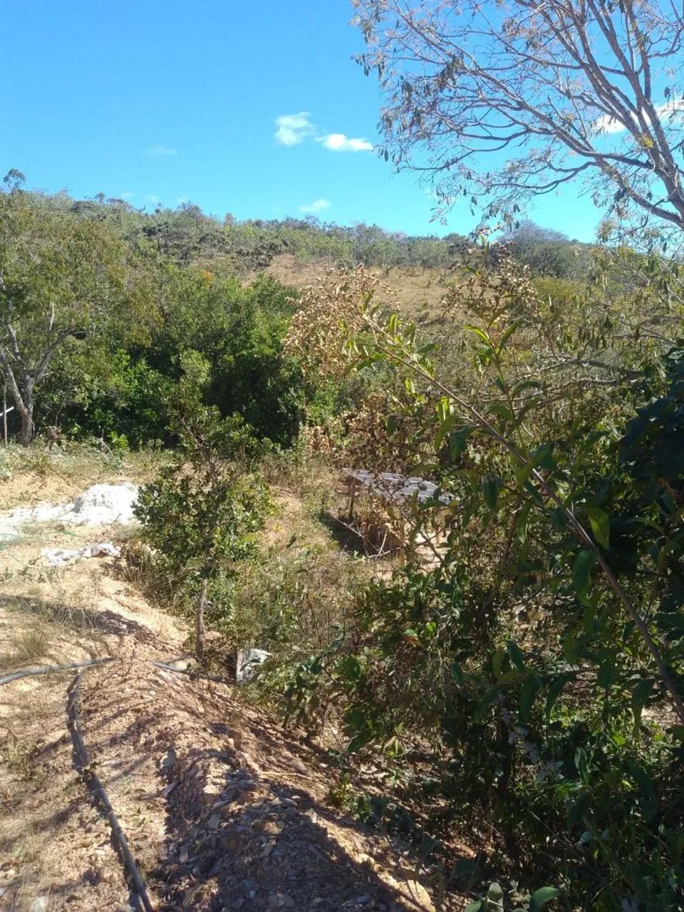 Lote próximo à Serra do cipó - Foto 2