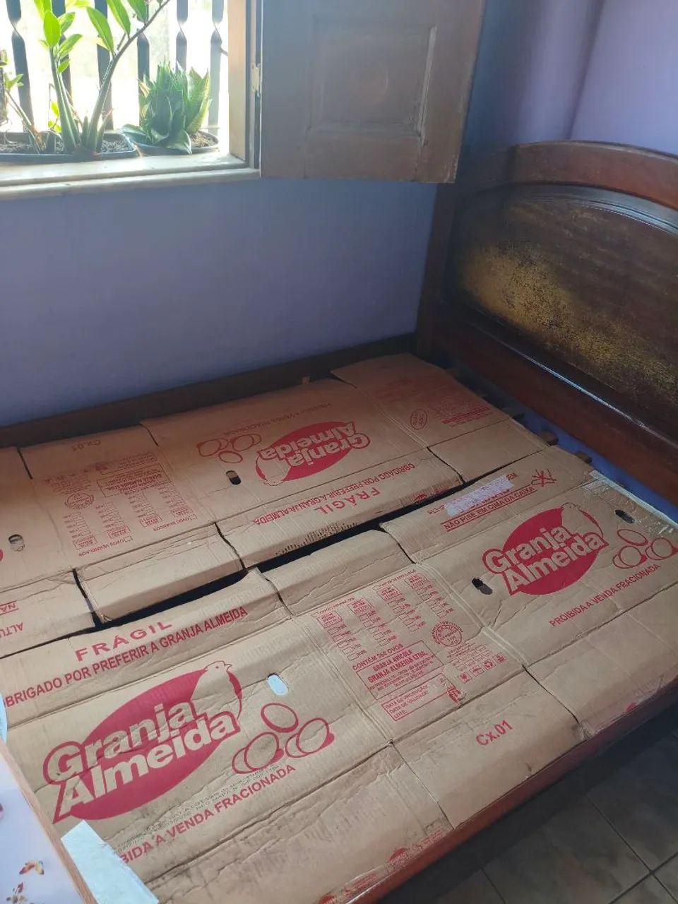 CAMA PAU DARCO COM GRADE  - Foto 3
