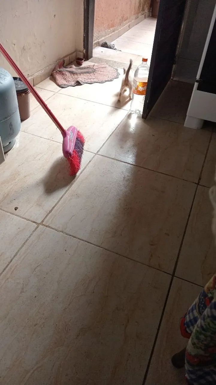 2 criado de ferro maciço  - Foto 2