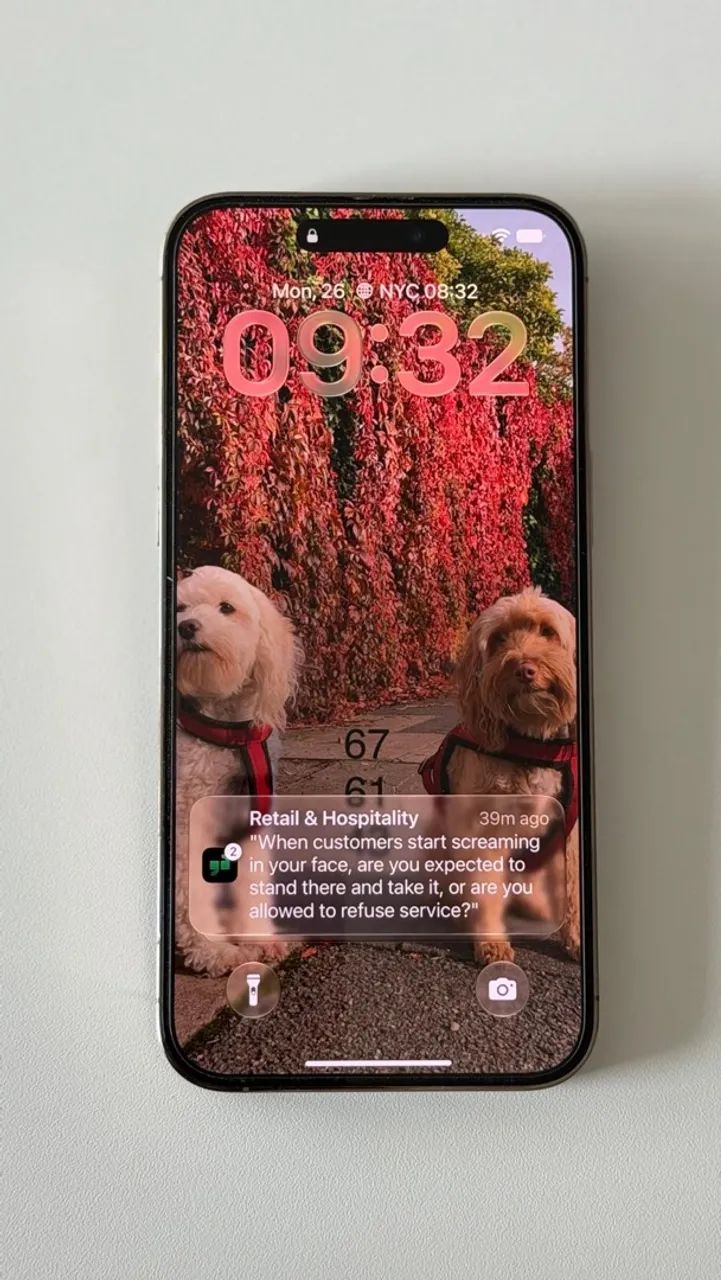 iPhone 14 pro max 256gb com caixa - Foto 3