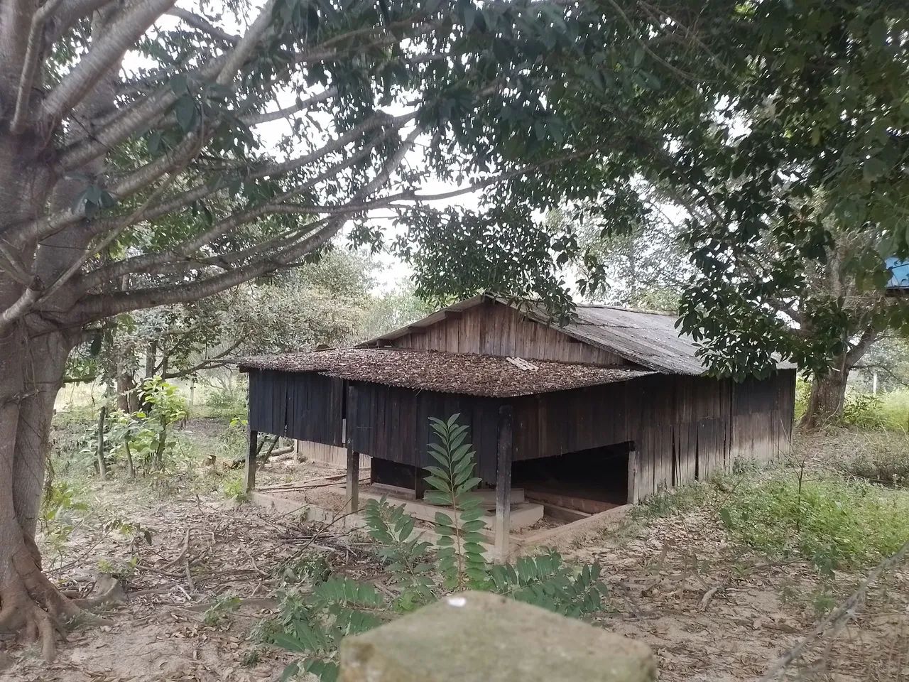 Fazenda de 93,4 hectares - Foto 5