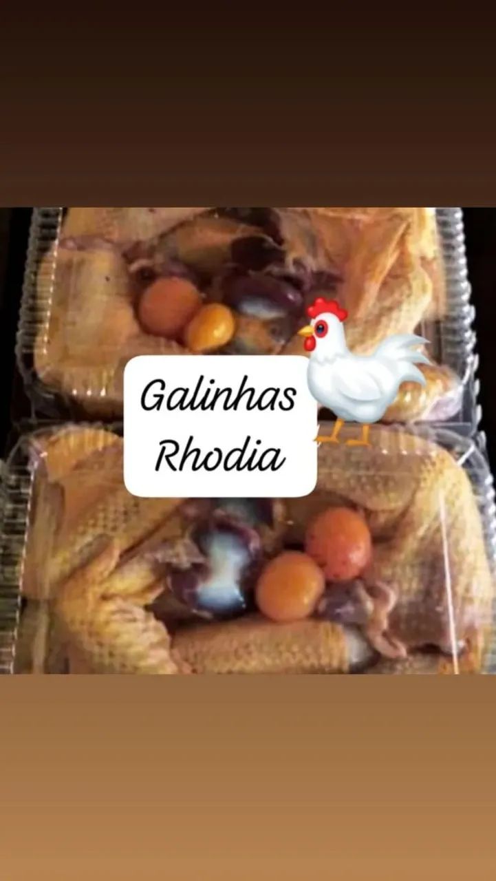 Galinha abatida 