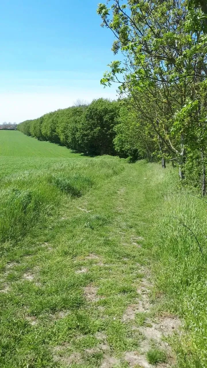 O Terreno Perfeito Para Tirar Seus Planos do Papel em São Roque!!Dentro daRota do Vinho!