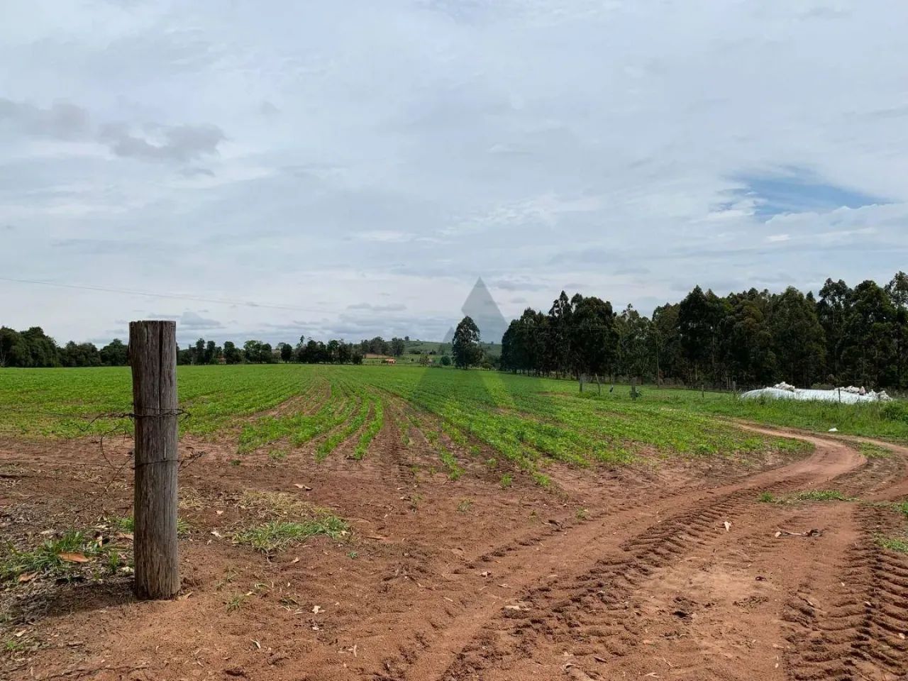 Sítio à venda, 242000 m² - Sarapuí/SP. - Foto 2