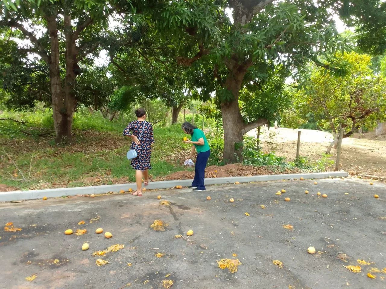 Sítio a beira rio  - Foto 3