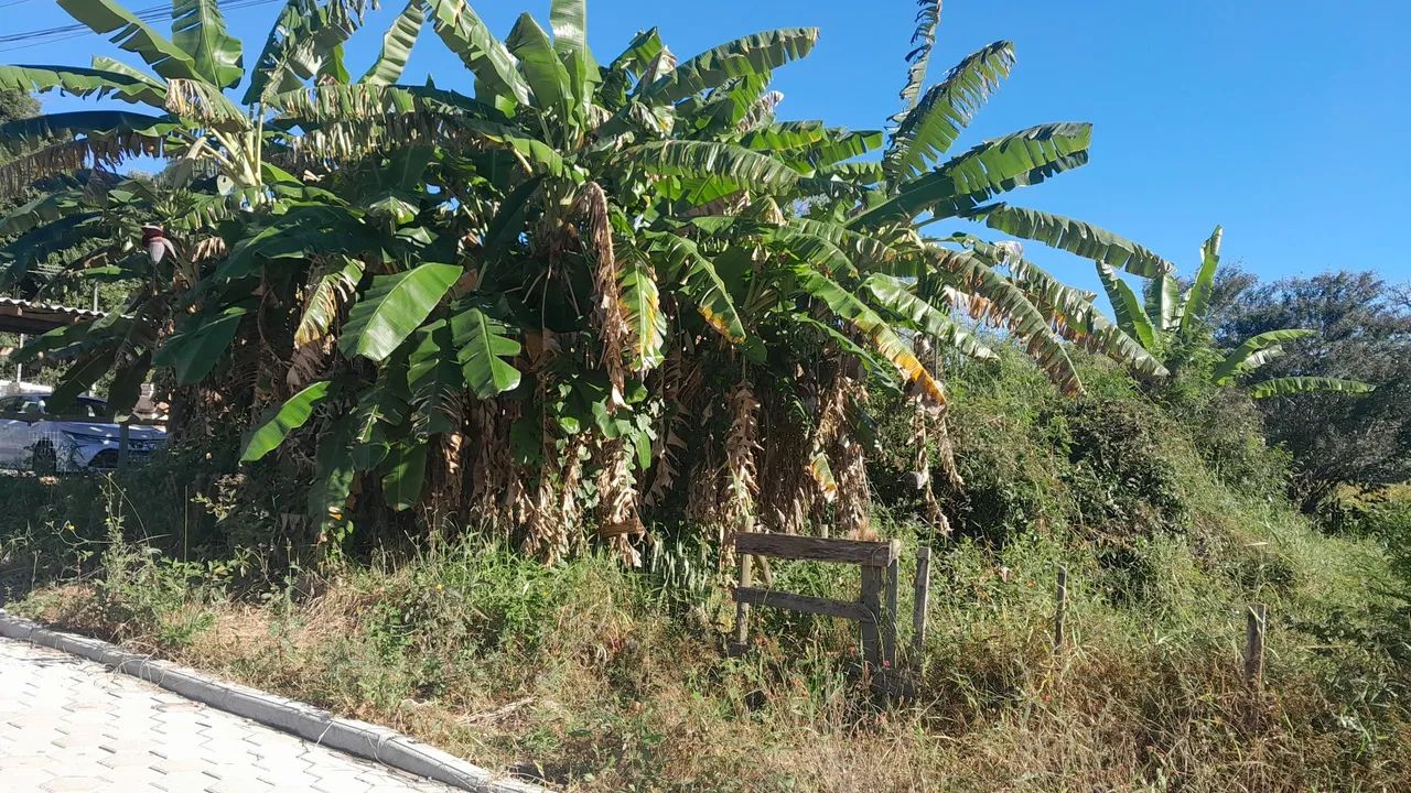 Vendo lote no centro Águas mornas sc  - Foto 2