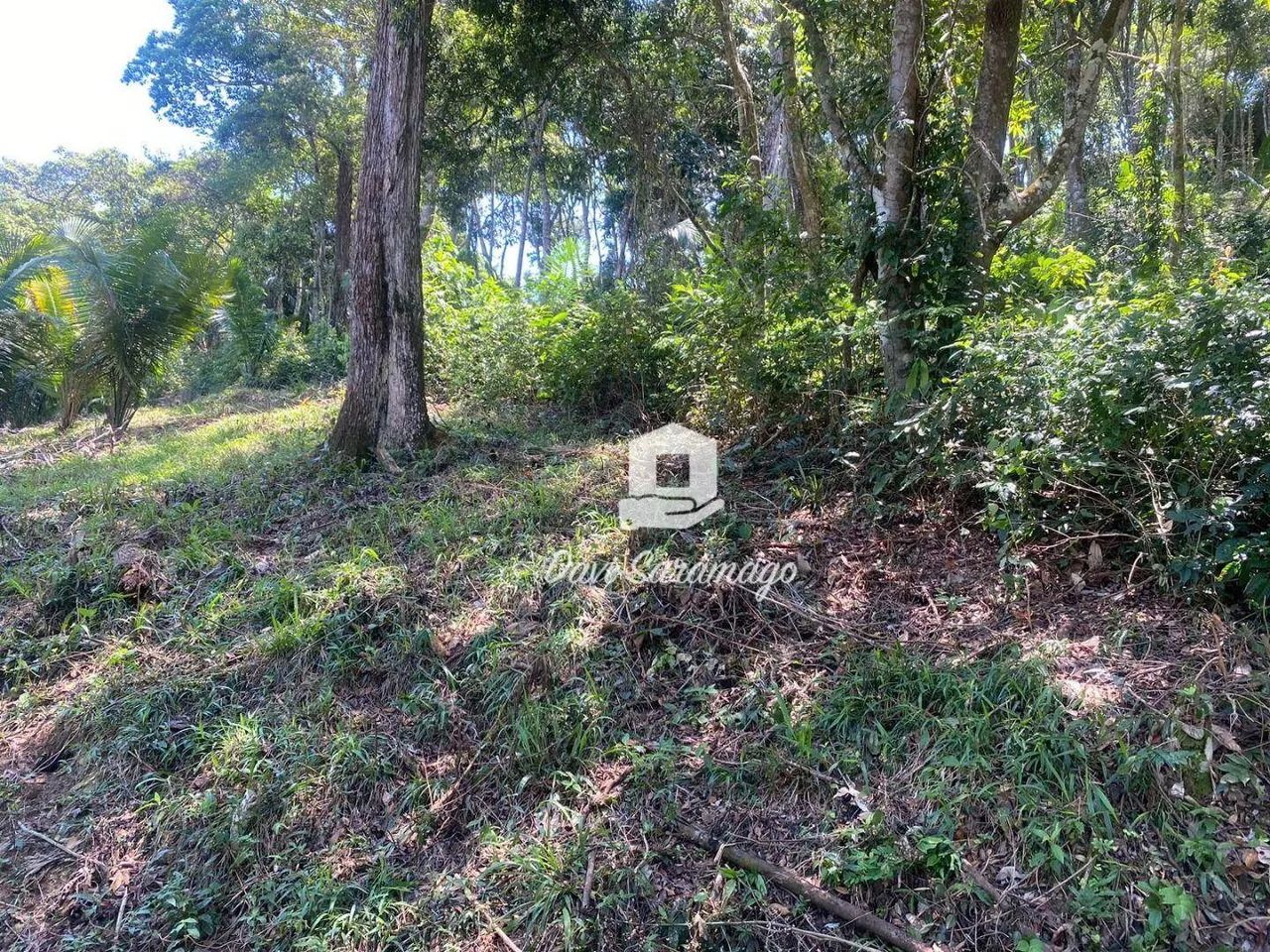 Terreno à venda, 5000 m² - Várzea das Moças - Foto 4