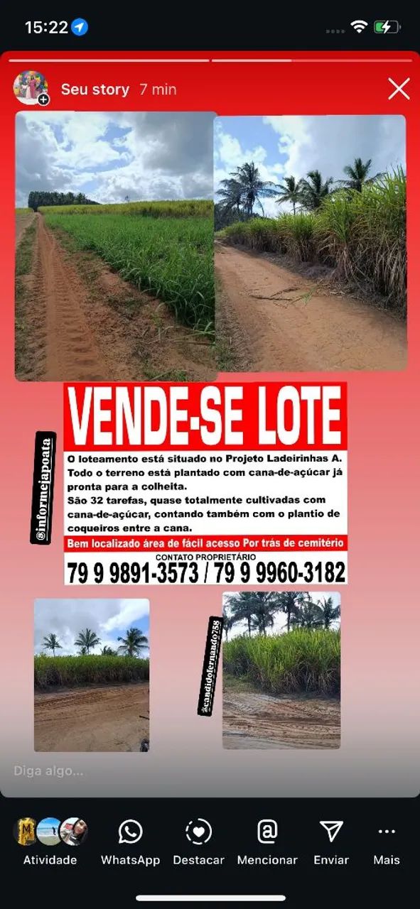 Vende-se lote já com plantação de cana de açúcar 