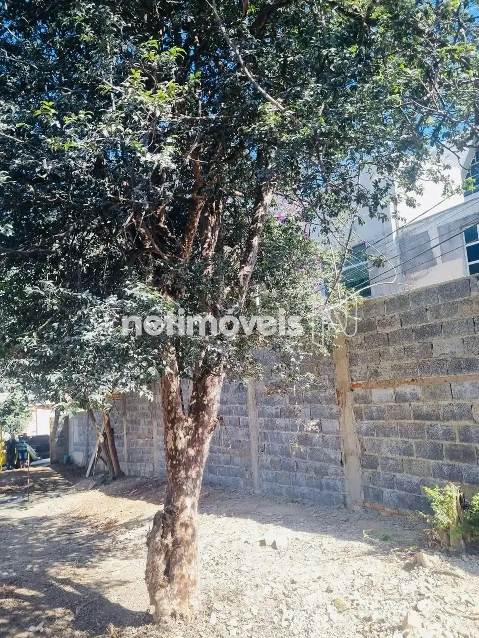 Área: Lote padrão de 506,38m²; - Foto 2