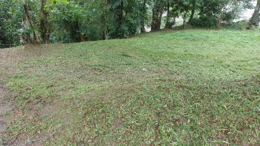 Venda de terreno 595.11m² Córrego Grande - Florianópolis/SC - Foto 2