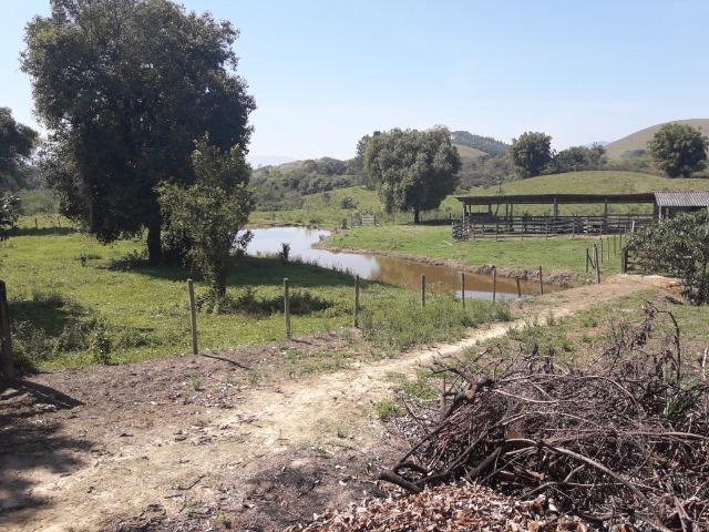 Fazendinha produtiva Cachoeiras de Macacu - Foto 12