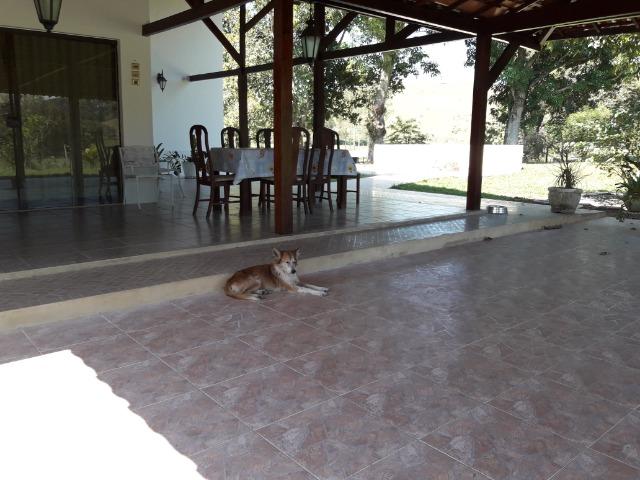 Fazendinha produtiva Cachoeiras de Macacu - Foto 6