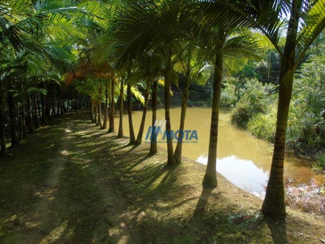 Fazenda antonina