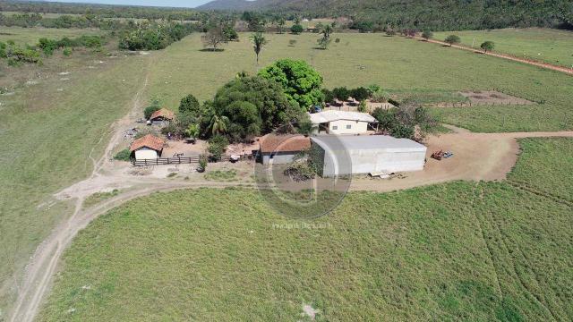 Fazenda para pecuária 185 ha santo antonio leverger - Foto 7