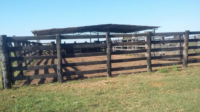 Fazenda 354,hectares - Foto 8