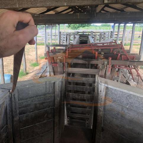 9Fazenda de 2.560 hectares para Venda, em Paranatinga / MT - Foto 11