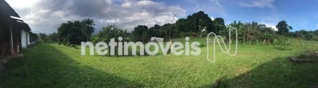 Sítio à venda em Jauá, Camaçari cod:776377 - Foto 12