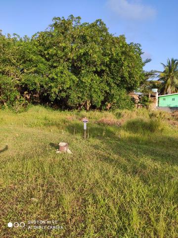 Terreno em Serrambi - Foto 7