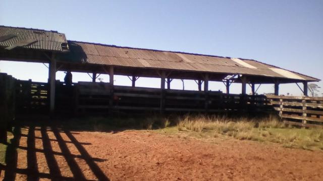 Fazenda Amanbai MS - Foto 12
