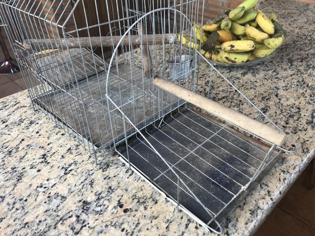 Gaiola para Calopsita, Maritaca, Periquito ou Papagaio - Foto 4